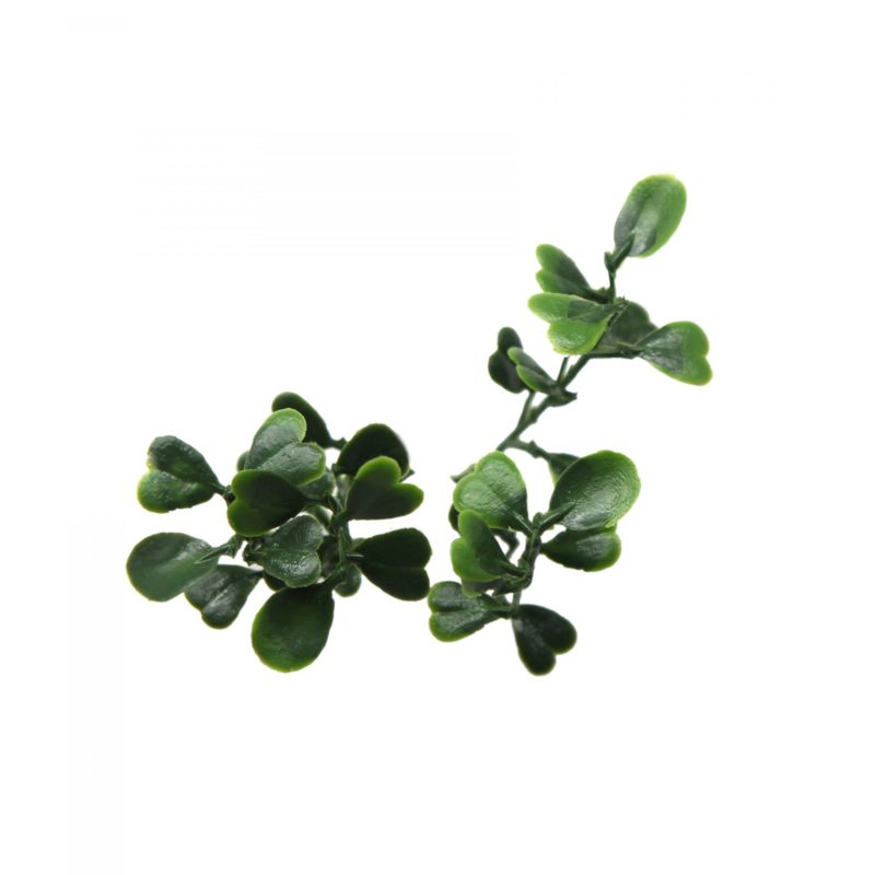 ΠΑΝΕΛ ΦΥΛΛΩΣΙΑΣ BERLIN 50 Χ 50 A199 EUCALYPTUS - Image 2