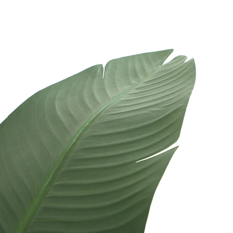 BANANA TREE NP1411_160  ΥΨΟΣ 160cm - Image 2