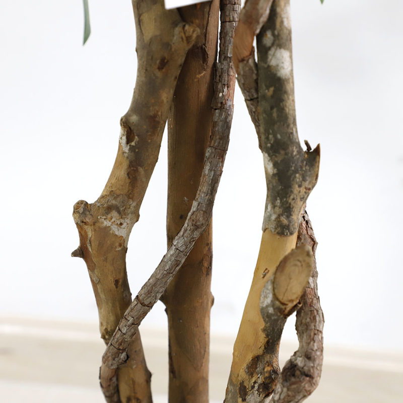 FICUS TREE NP5209_180  ΥΨΟΣ 180cm - Image 3