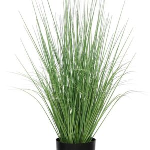 ONION GRASS TREE  NP1009_60 ΥΨΟΣ 60cm