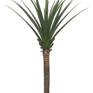 AGAVE TREE  NP802_160  ΥΨΟΣ 160cm