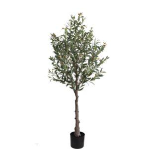 OLIVE TREE NP439_150  ΥΨΟΣ 150cm